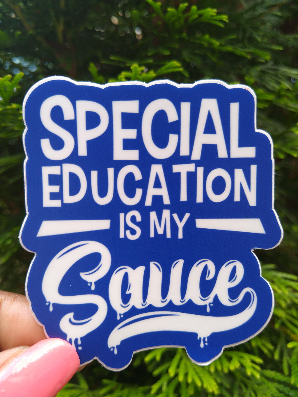 Special Education Sticker