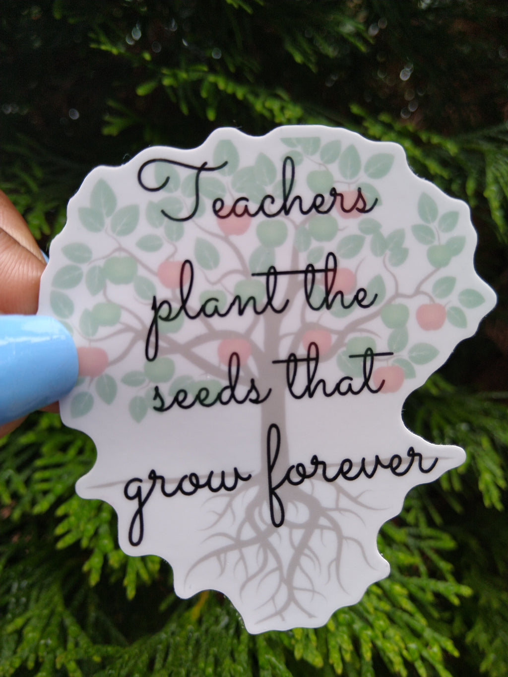 Teachers Plant Seeds