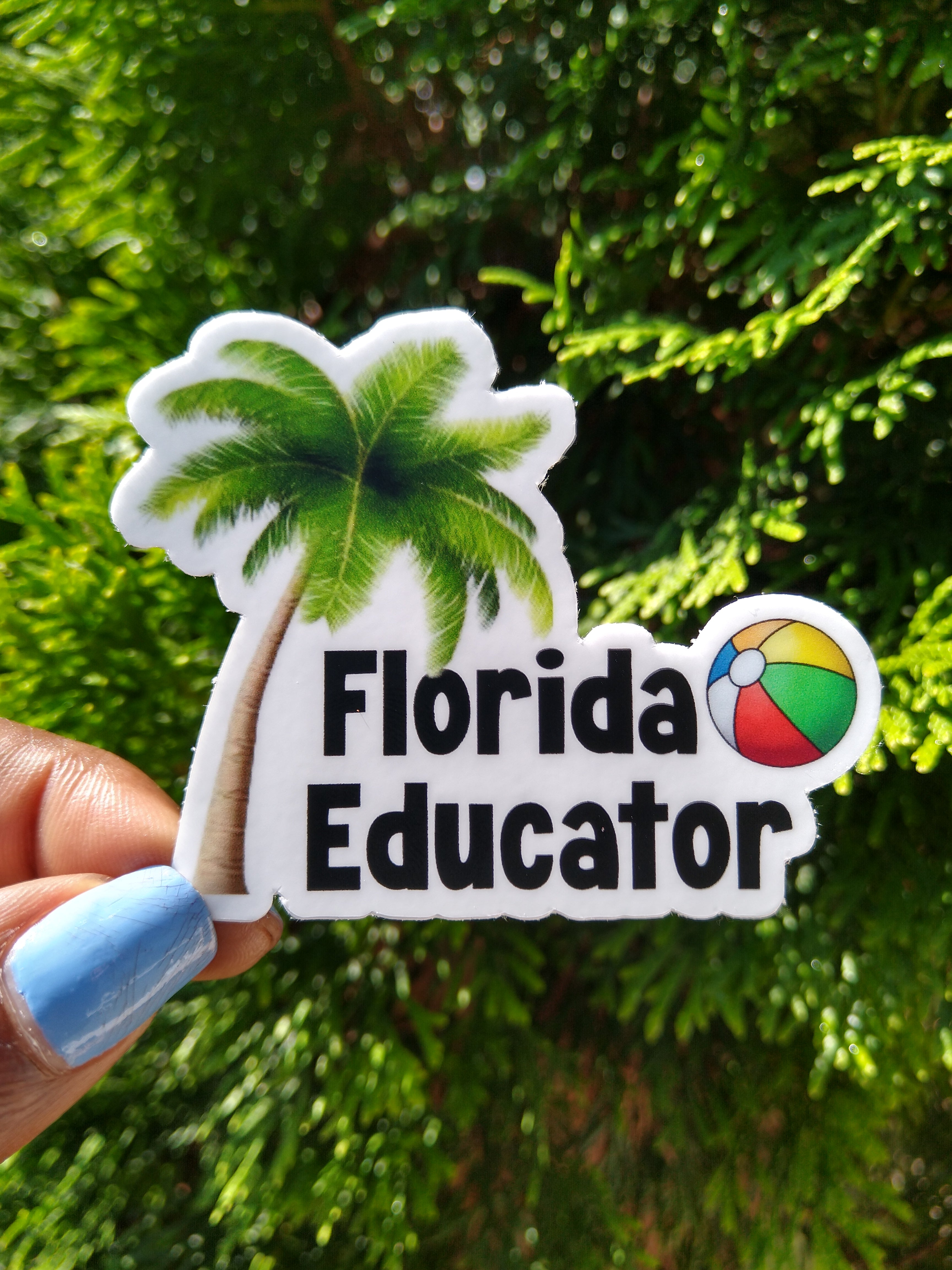 Florida Beach Educator
