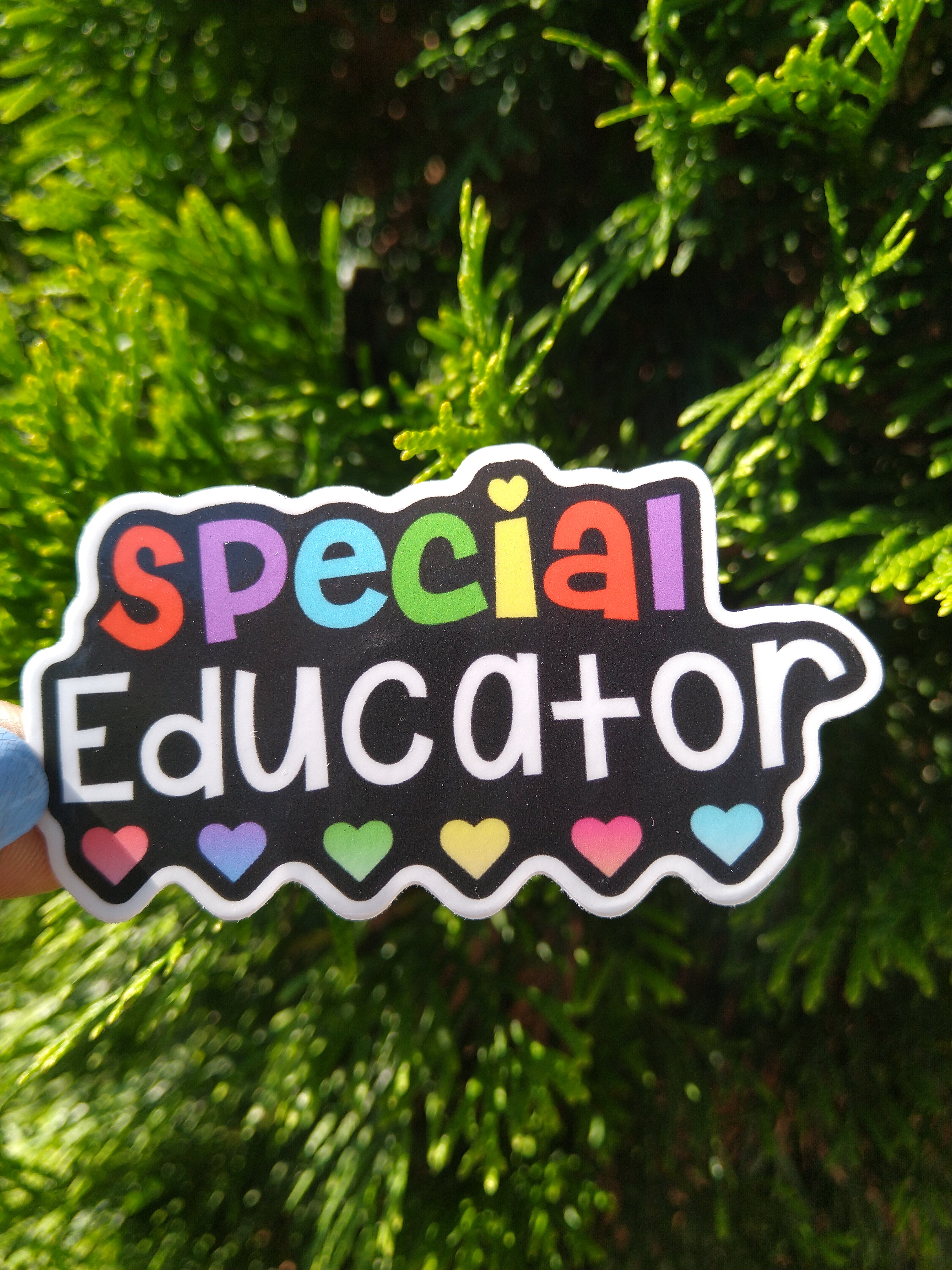 Special Educator Sticker (It's A Colorful World)
