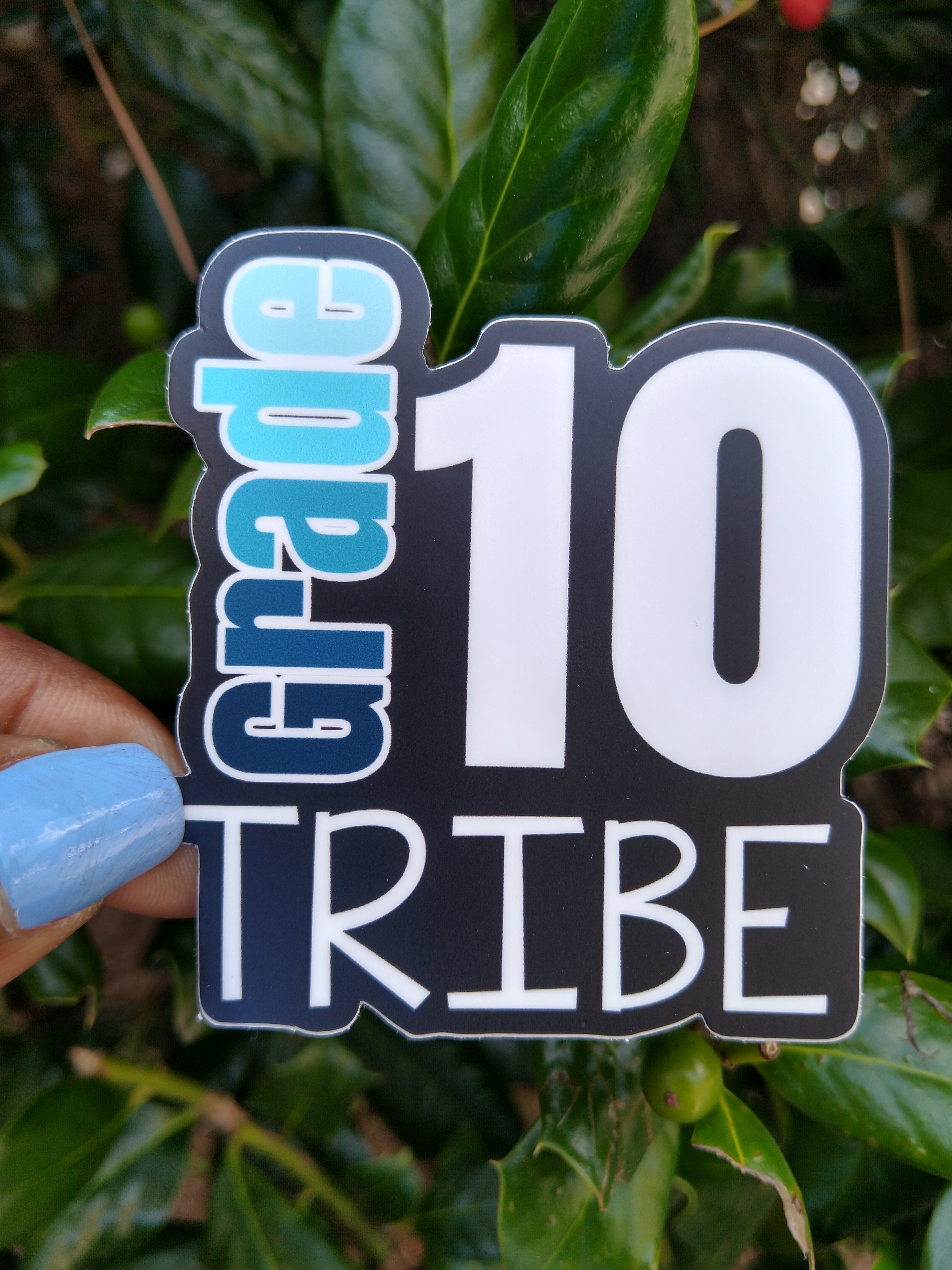 10th Grade Tribe