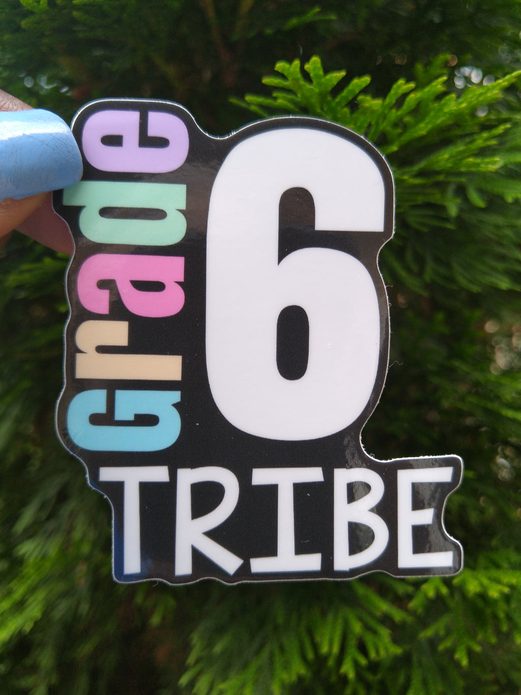 6th Grade Tribe